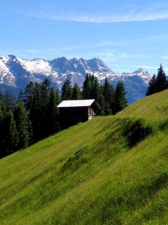 Gaestehaus Die Geislerin Gerlos Zewnętrze zdjęcie